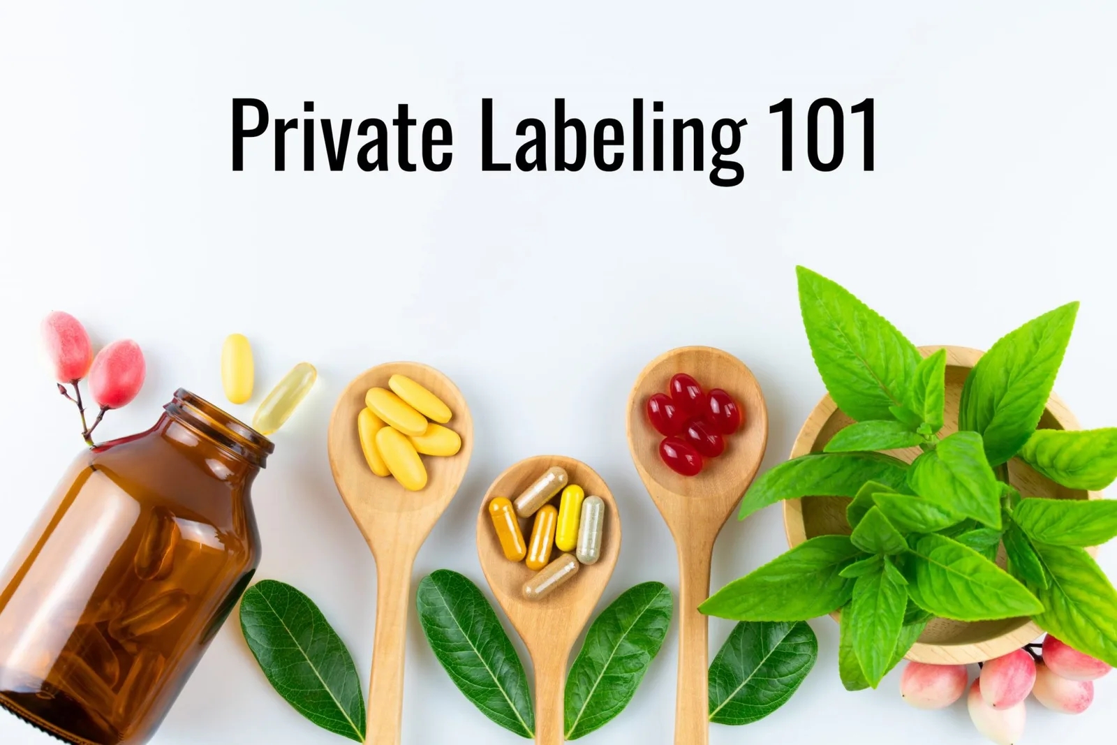 Supplements Private Labeling 101: What Everyone Should Know